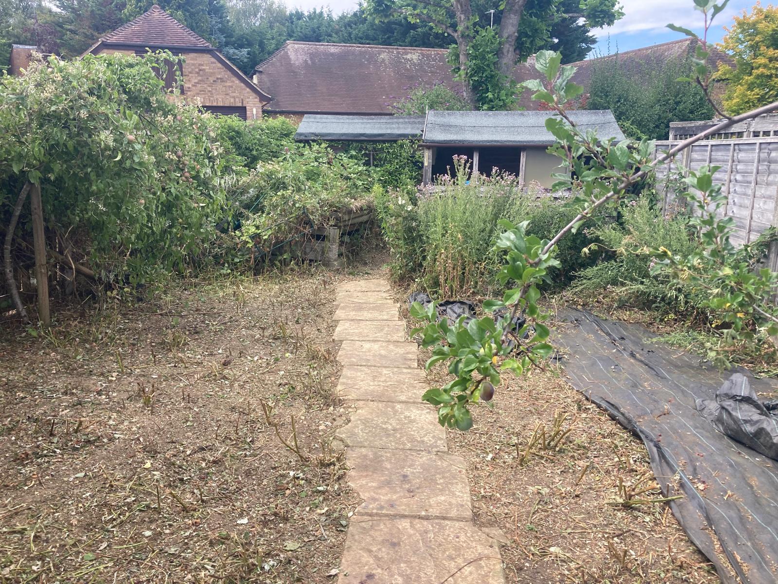 Jungle of brambles and weeds cleared to a walkable garden – after