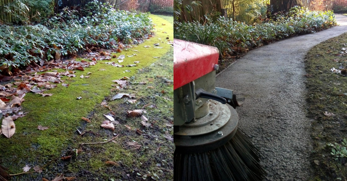 Mosquito weed ripper clearing moss from a paved garden path
