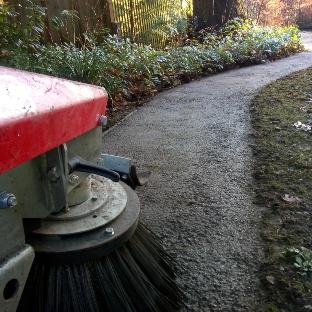 Mossy path swept back to a clean walkable surface – after
