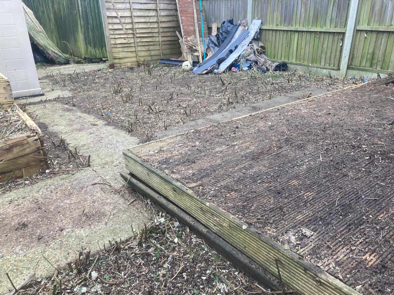 Overgrown bramble bank cut right back to the fence line – after